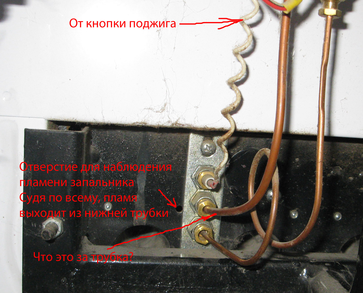 http://elation.kiev.ua/components/com_agora/img/members/5212/IMG-0778.JPG
